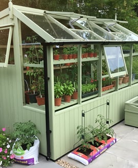Swallow Jay 6x10 Painted Wooden Potting Shed